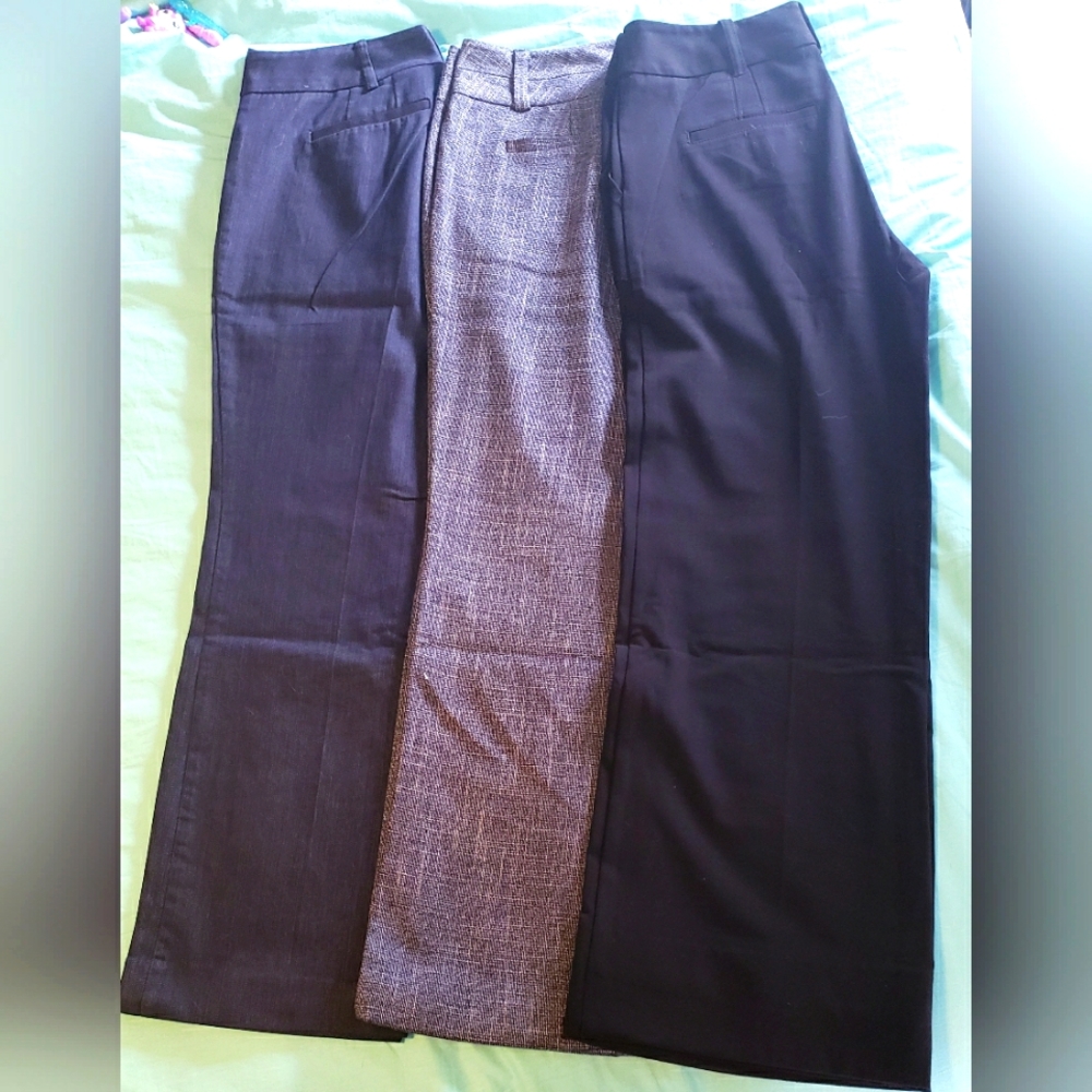NY&CO Pant bundle
